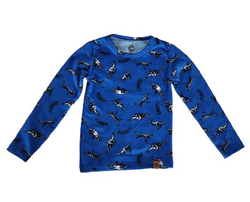 Blusa Térmica Masculina infantil 1-3 Estampada 24825 DC Têxtil Azul
