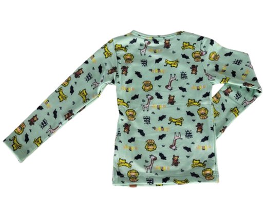 Blusa Térmica Masculina infantil 1-3 Estampada 24825 DC Têxtil Verde Claro