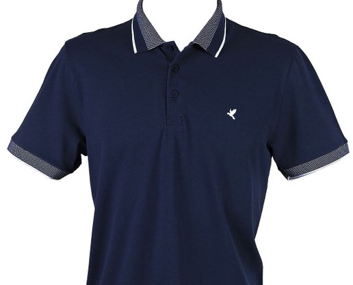 Camisa Polo Masculina Adulto Estampa Pássaro 1000075002 Malwee Marinho
