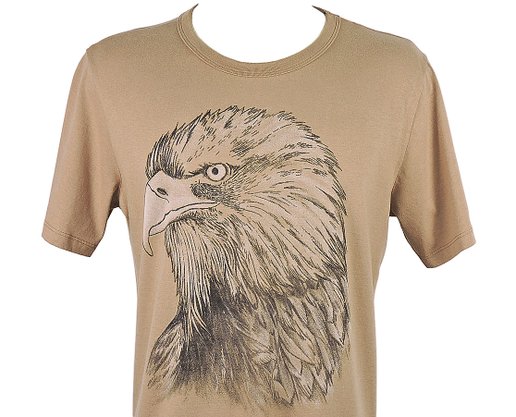 Camiseta Masculina Adulto Manga Curta Estampa Águia 4ED5 Hering