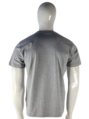 Camiseta Manga Curta Masculina Adulto Estampa Boards 500046 Vanton Mescla Claro