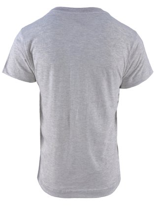 Camiseta Manga Curta Masculina Infantil Com Estampa Dinosauro 86.01.0689 Gangster Cinza Mescla Claro
