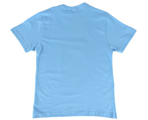 Camiseta Manga Curta Masculina Juvenil Estampa Urso Com Óculos 31512 Vanton Azul Celeste