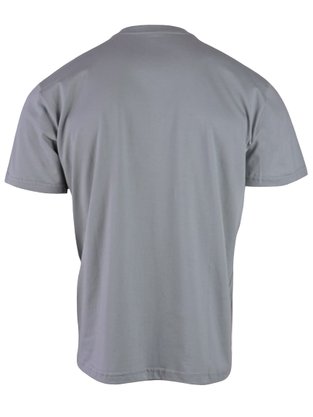 Camiseta Manga Curta Masculino Adulto Estampada 500051 Vanton Cinza