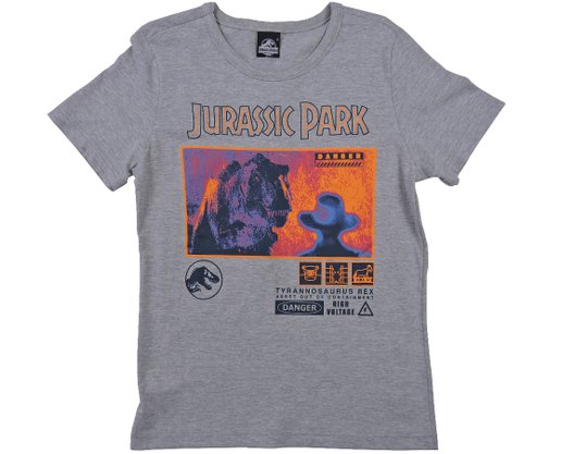 Camiseta Manga Curta Masculino Infantil 4-8 Jurassic Park 1000074437 Malwee Cinza Claro