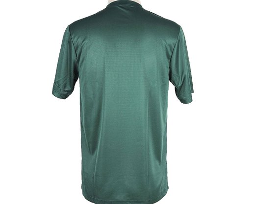 Camiseta Masculina Adulto Manga Curta Lisa DM170 Fila Verde Turquesa