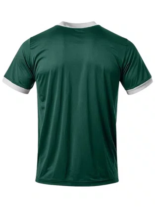 Camiseta Palmeiras Masculina Adulto 1914 ll 9925042 Betel Verde