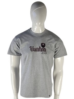 Camiseta Manga Curta Masculina Adulto Estampa Boards 500046 Vanton Mescla Claro