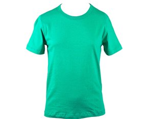 Camiseta Masculina Infantil 2-8 Manga Curta Lisa 5CMU 02/08 Hering Kids Verde Folha