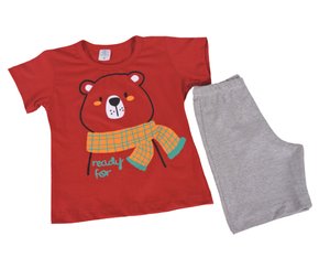 Conjunto Curto Masculino Infantil Com Estampa Dc Têxtil Bordo e Cinza