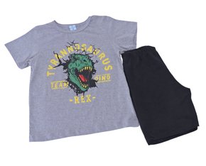 Conjunto Curto Masculino Infantil Com Estampa Dc Têxtil Cinza e Preto