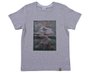 Camiseta Manga Curta Masculina Infantil 4-8 Aplicação Fossil Dinossauro 1000071483 Malwee Cinza Claro