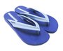 Chinelo Feminino Adulto Nature 26267 Ipanema Azul e Azul
