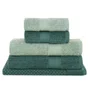 Jogo De Toalhas 5 Peças Fio Penteado e Canelado Buddemeyer Verde